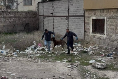 Kayseri'de başıboş köpeğin saldırdığı 3 yaşındaki çocuk ağır yaralandı