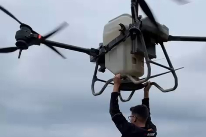 Samsun'da çeltik tarlasında tehlikeli yolculuk: Drona asılıp uçtu