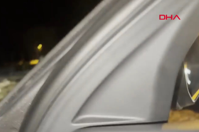 Bursa'da kış uykusundan uyanan ayı ailesi yiyecek arıyor