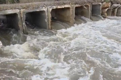 Bursa'da kuruyan Karasu Deresi coştu: İznik Gölü’ne umut oldu!