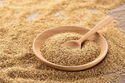 Yunanistan'a giden susam “Salmonella mikrobu var” gerekçesiyle geri çevrildi