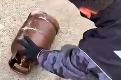 Kereste yüklü tır devrildi: #Bursa yolu kapandı  https://tinyurl.com/bdhdvb9d