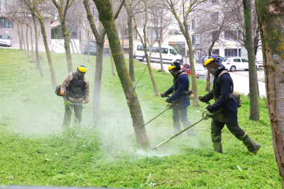 Bursa Osmangazi yabani otlardan temizleniyor