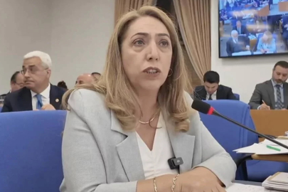 DEM Partili isim o görevinden istifa etti