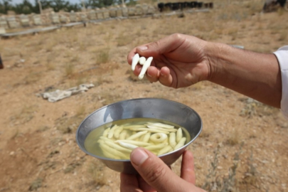 Ne altın ne borsa: Kilosu 15 bin TL olan dağ sakızı rekor kırdı!