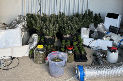 Kocaeli'de evleri uyuşturucu serasına, tuvaletleri laboratuvara çevirmişler: 36 gözaltı