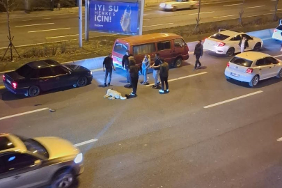 Ankara'da başıboş köpek sorunu kazalara neden oluyor