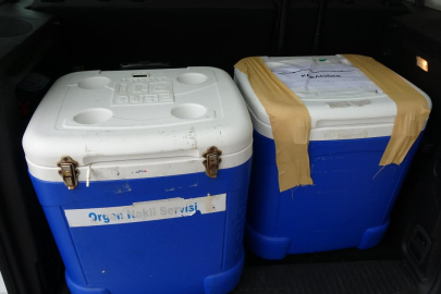 Genç kadının organları 3 kişiye umut oldu