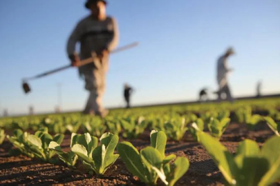 Gübre ve mazot zamları tarımı vurdu