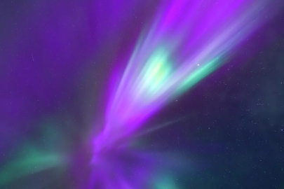 İsrail’de ‘felaket habercisi’ tartışması! Binlerce karga...