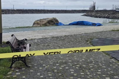 Ordu'da sahile insansız araç olduğu değerlendirilen cihaz vurdu