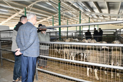 Bursa Mustafakemalpaşa’da hayvan pazarı yeniden açıldı!