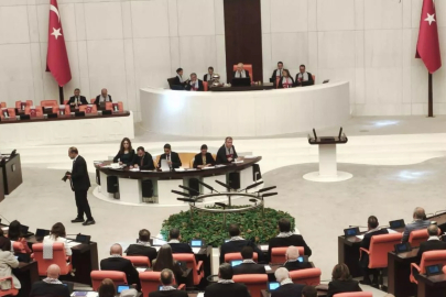 Doğum izni ve sosyal medya düzenlemesi Komisyon'a geliyor