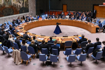 Malili uzman: Avrupa ülkeleri, BM’de 'entelektüel ihanet' gerçekleştirdi