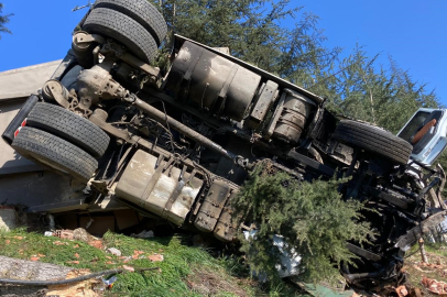 Samsun'da çay yüklü tır devrildi: 1 yaralı