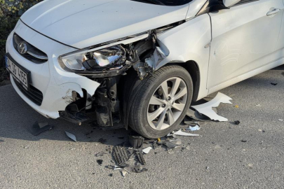 İstanbul'da başıboş at otomobillere çarptı: 2 araç hasar aldı