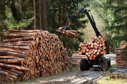 ORMANCILIK ÇALIŞMALARININ TAKİBİ VE KONTROLÜ HİZMETİ ALINACAKTIR