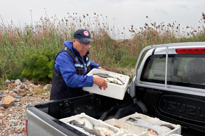 Muğla Milas’ta kaçak avcılığa geçit yok: 80 kilo kefal balığına el konuldu