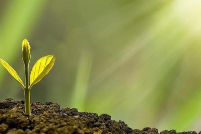 Türkiye'nin küresel çevre hareketi: Sıfır Atık Projesi