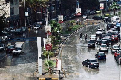 Şehir akrep istilasına uğradı! Yüzlerce kişi hastanelik oldu...