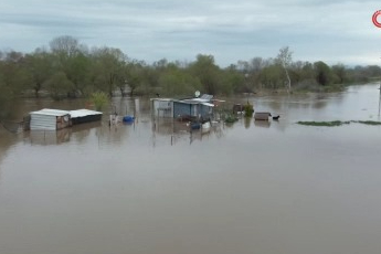 Bursa'da sular altında kalan bağ evinde mahsur kalan iki köpeği belediye ekipleri kurtardı