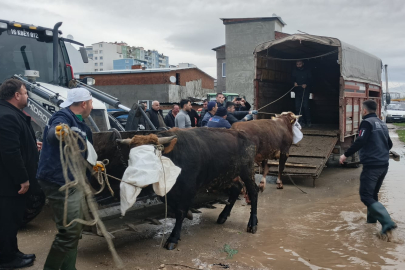 Bursa Karacabey Belediyesi yağışa karşı tüm gücüyle sahada