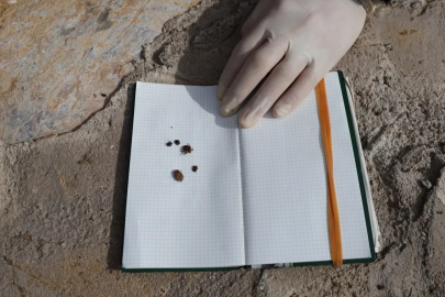 Kene kabusu daha güçlü geri dönüyor! Uzman isim uyardı...