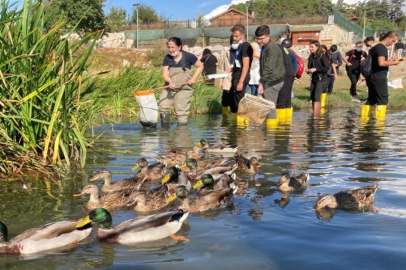 Bursa Kız Lisesi'nden TÜBİTAK 4004 proje başarısı