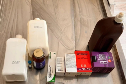 Hayvan barınağında ihmaller zinciri: Açlık, ölümler ve tarihi geçmiş ilaçlar