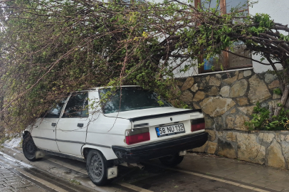 Muğla Bodrum'da fırtına etkili oldu, 2 tekne karaya oturdu