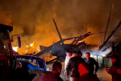 Bolu'da samanlığa yıldırım düştü: Samanlık ve traktör alev alev yandı