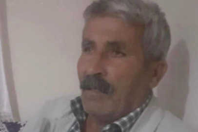 Diyarbakır'da kovalamaca sonucu yola çıkan inek, sahibini canından etti