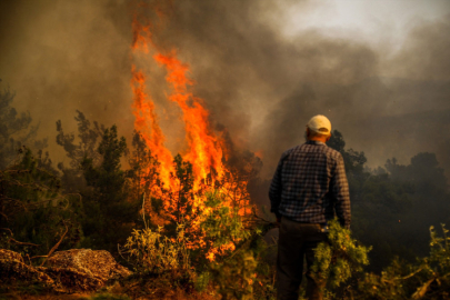 Orman yangınlarında en büyük zarar Bursa’da: Rakamlar korkuttu
