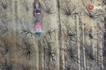 Bursa'da yüzlerce dönüm su altında! Şeftali ve armut bahçeleri...