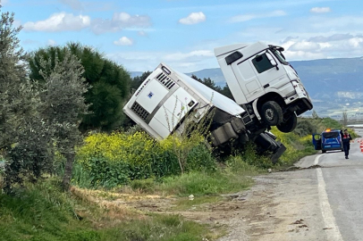 Denizli'de bağa giren tır şaha kalktı