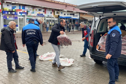 Ordu'da 200 kilo kaçak ete el konuldu