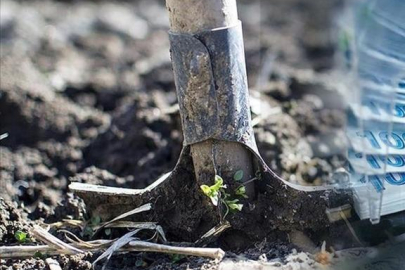 Türkiye harekete geçti: Gümrük vergisi o ürünlerde de sıfırlandı!