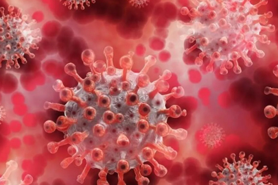 Yeni Kovid-19 varyantı 'Cicada' hakkında bilinenler