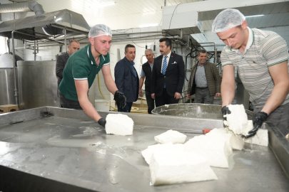 Bursa Yenişehir’de yerel kalkınma hamlesi: Kooperatiften Türkiye’ye peynir