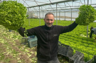 Bursa'da geçen sene zararıyla ağlatan 'kıvırcık' bu yıl güldürdü