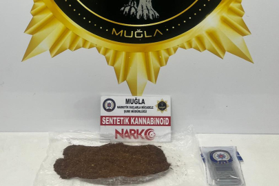 Muğla'da uyuşturucu operasyonunda yakalanan zanlı tutuklandı