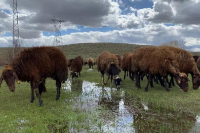 120 bin TL maaş var ama çalışacak adam yok!