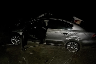 Karabük'te otomobil kara yoluna çıkan ata çarptı: 3 yaralı