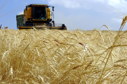 Üniversitelere "tarımsal teknoloji" alanında yeni programlar açılacak