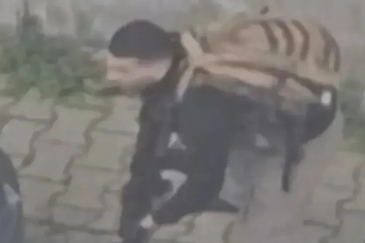 Bakan Çiftçi'den İstanbul'daki hain saldırıya ilişkin yeni açıklama: 2 kişi daha yakalandı