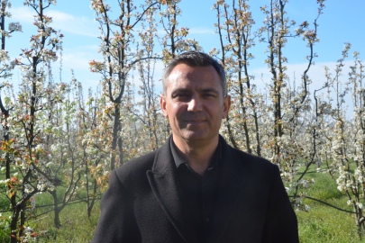 Bursa'da meyve ağaçları çiçek açtı