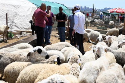 Bursa Osmangazi’de kurban yeri fiyatlarına zam