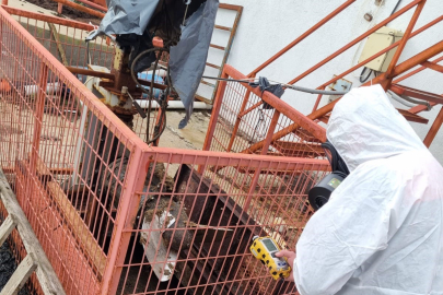 Çorum'da çiftlikteki gaz sızıntısı ihbarı ekipleri harekete geçirdi