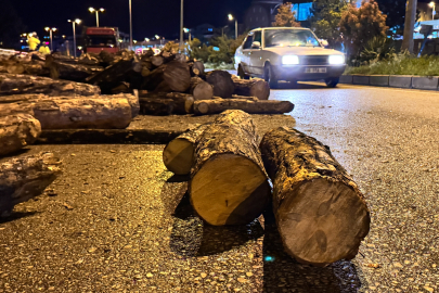 Karabük'te seyir halindeki kamyonun damperi aniden kalktı, odunlar yola döküldü