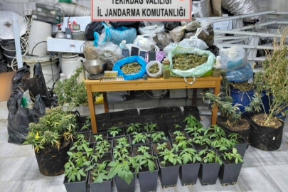 Tekirdağ'da uyuşturucu operasyonu: 1 tutuklama